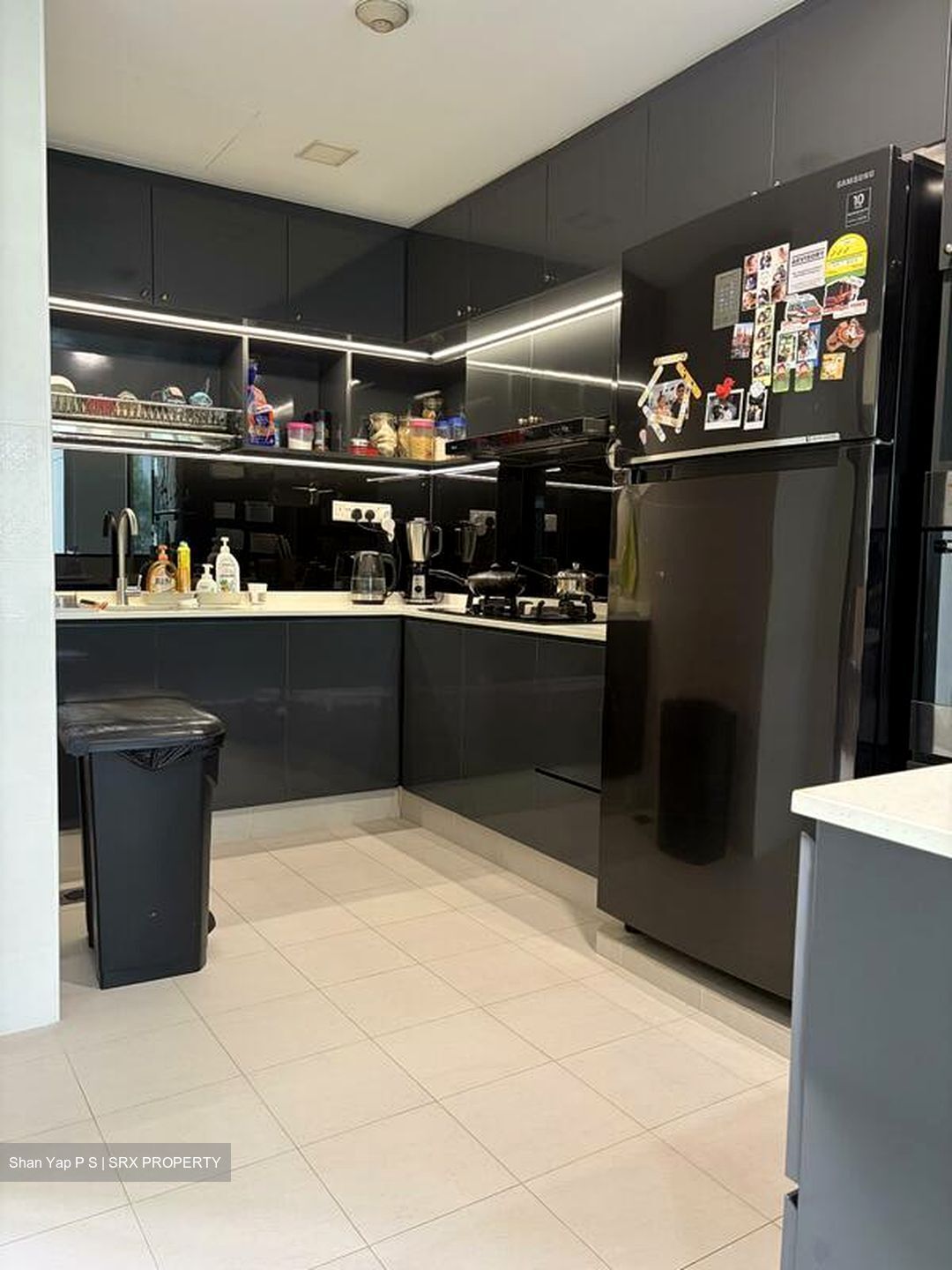 Parkshore (D15), Condominium #569315421